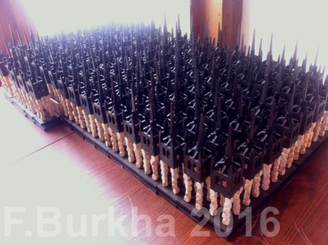 04 tour vacuva F-Burkha 2016